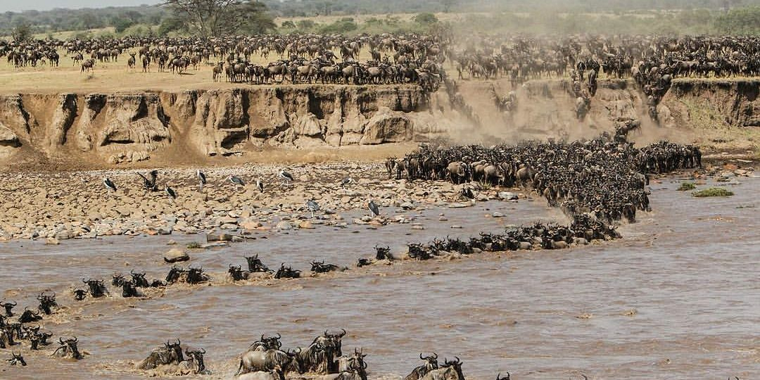 5-DAYS BUDGET TRIP, TARANGRE, SERENGETI, NGORONGORO & MANYARA.